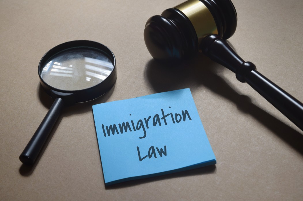 Immigration Lawyer